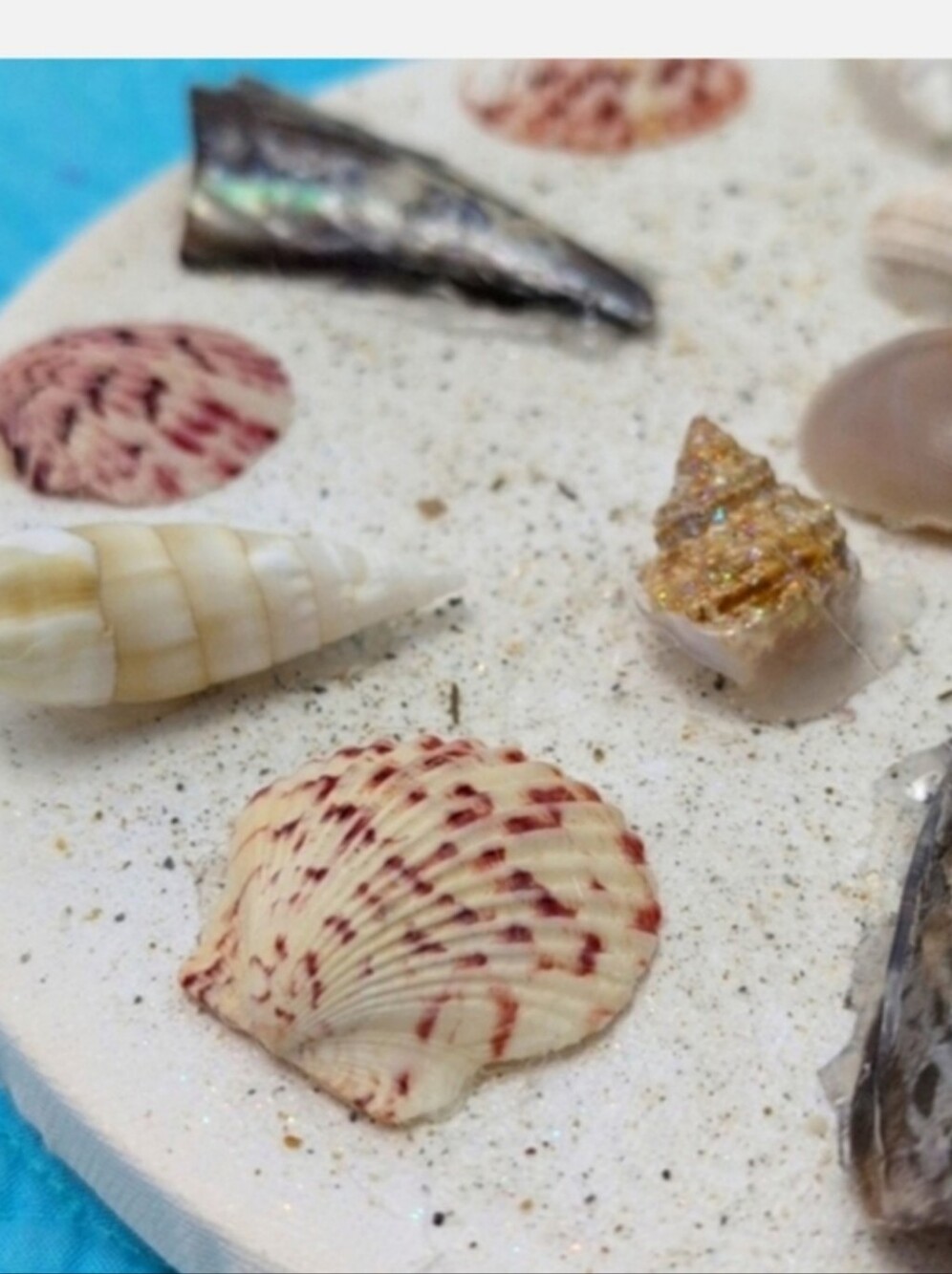 Seashell Art Wall Art. Home Decor Beach Art Coastal Home Goods - Picture 6 of 9